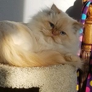 Meet your Posher, Angela